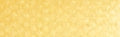 PanPastel - Yellow Ochre 270.5